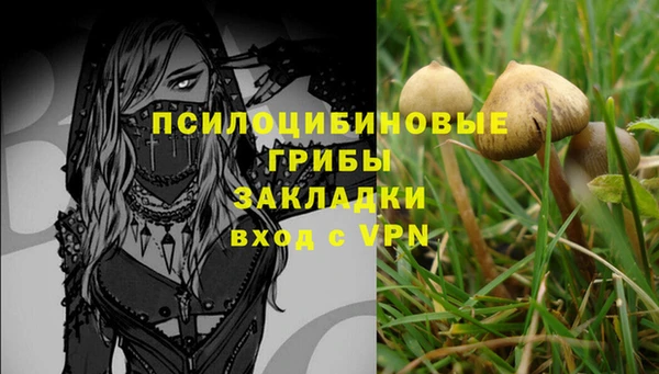 тгк Саяногорск
