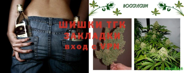 тгк Саяногорск